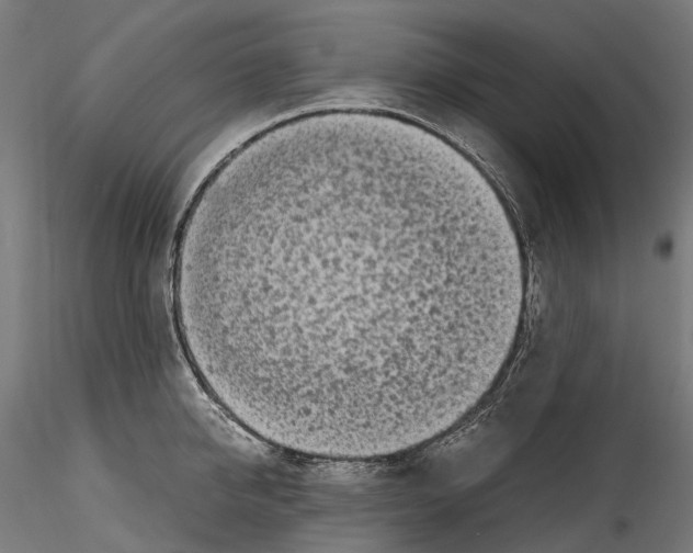 X0000114560950200911301245