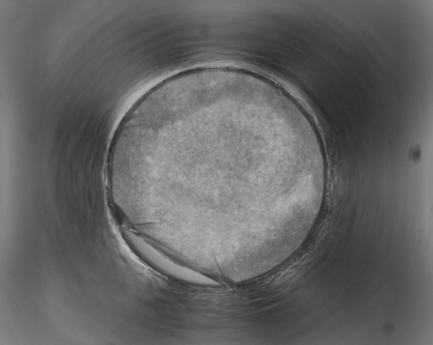 X0000114560951200911301245