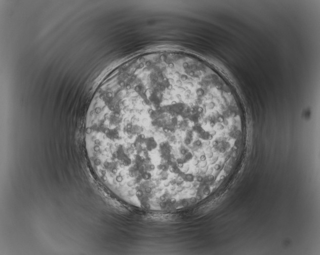 X0000114560953200911301245