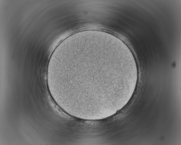 X0000114560954200911301245