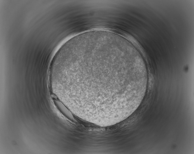 X0000114560955200911301245