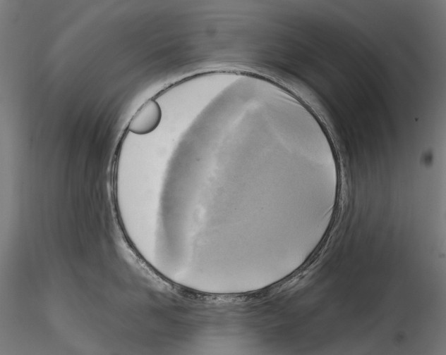 X0000114560958200911301245