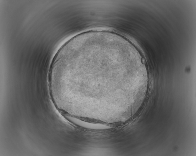 X0000114560959200911301245