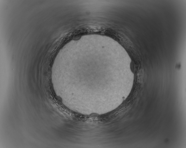 X0000114560961200911301245