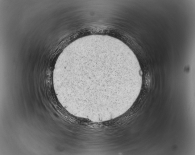 X0000114560964200911301245