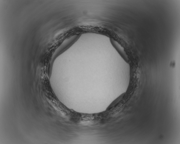X0000114560965200911301245