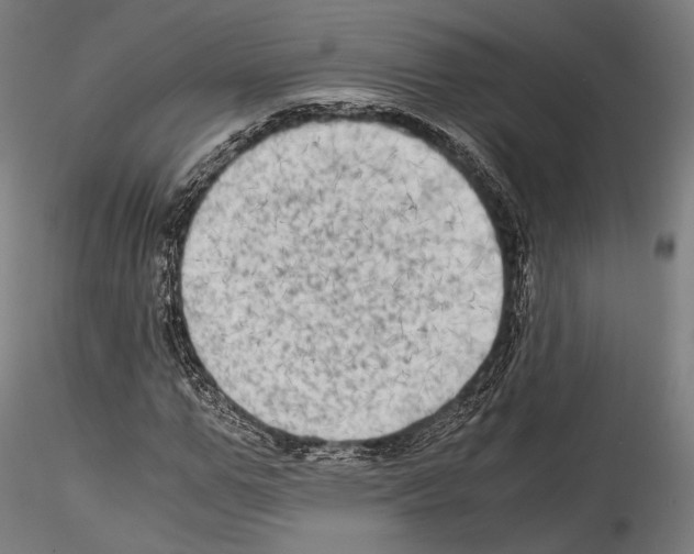 X0000114560967200911301245