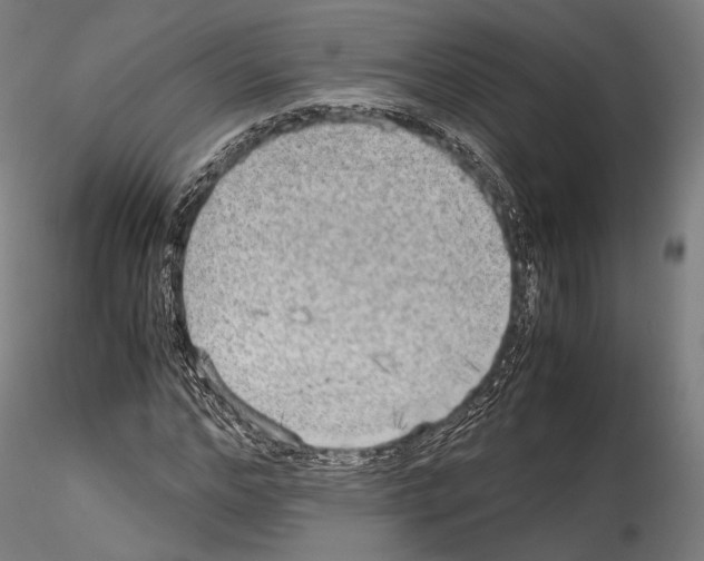 X0000114560968200911301245