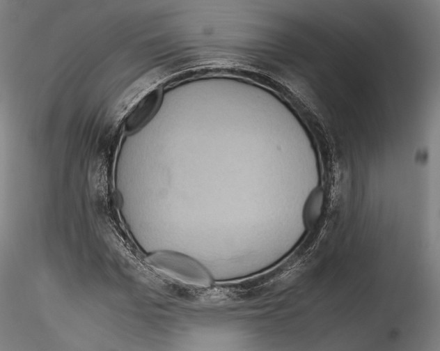 X0000114560969200911301245