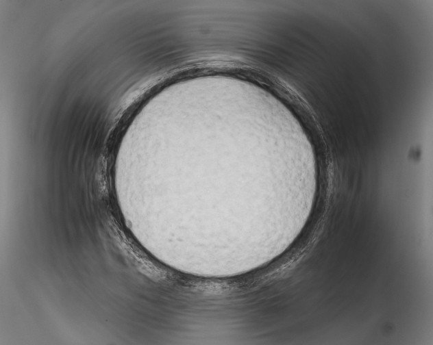 X0000114560970200911301245