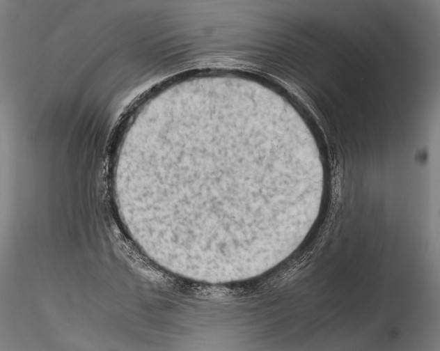 X0000114560971200911301244