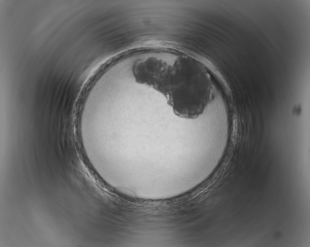 X0000114560972200911301244