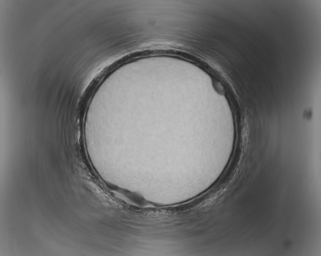 X0000114560973200911301244