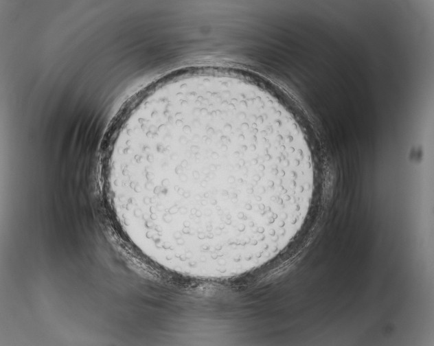 X0000114560974200911301244