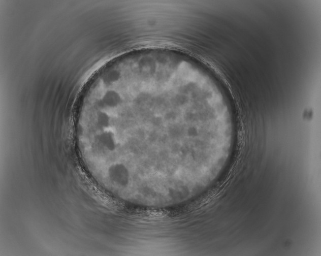 X0000114560975200911301244