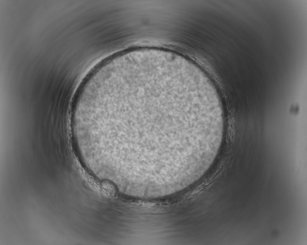 X0000114560976200911301244