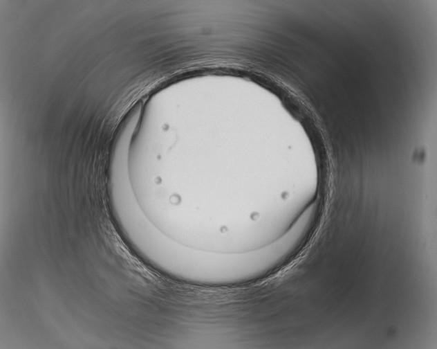 X0000114560977200911301244