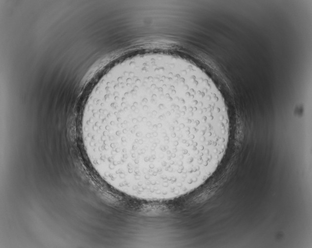 X0000114560978200911301244