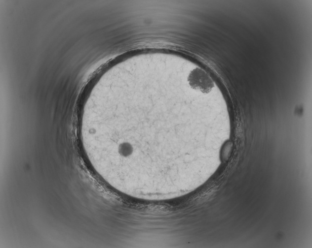 X0000114560979200911301244