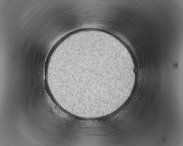 X0000114560980200911301244