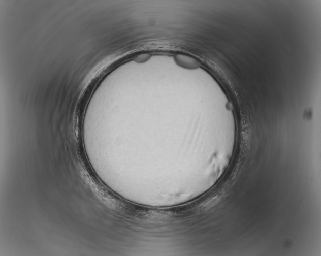 X0000114560981200911301244