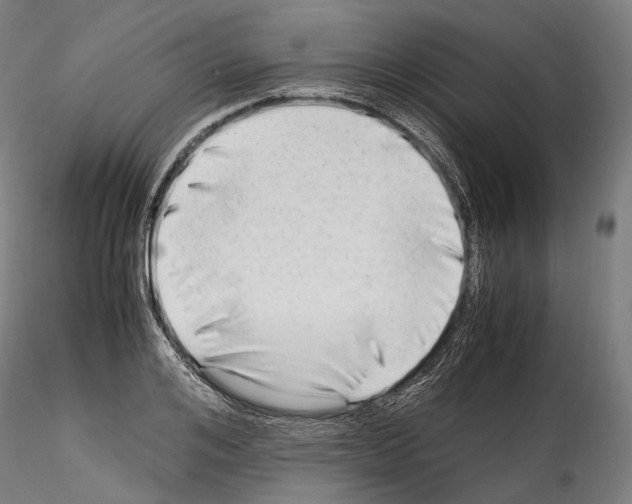 X0000114560984200911301244