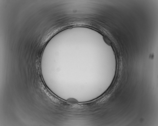 X0000114560985200911301244