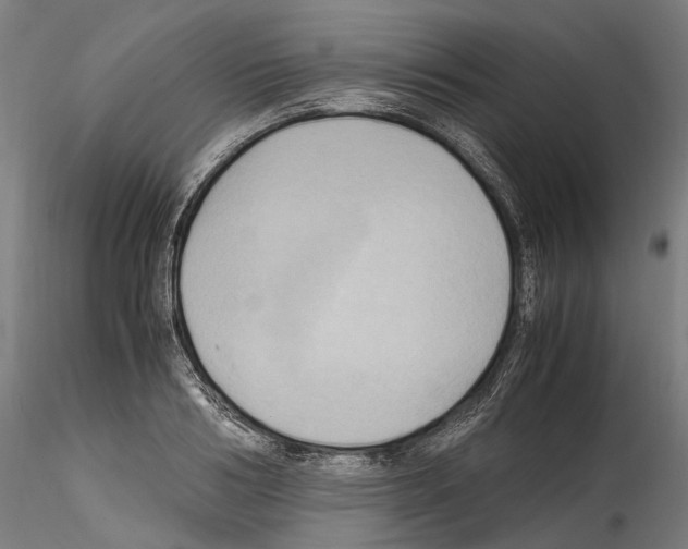 X0000114560986200911301244