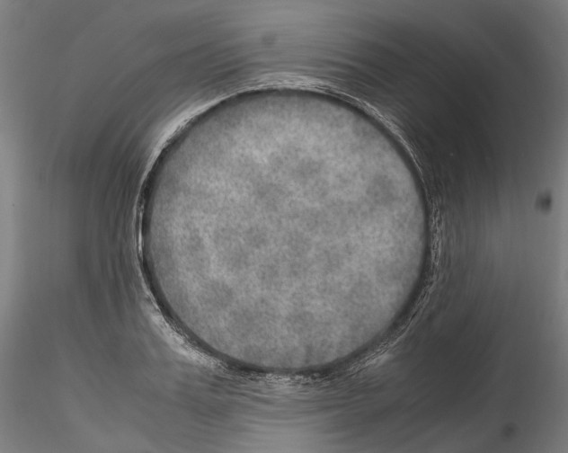 X0000114560987200911301244