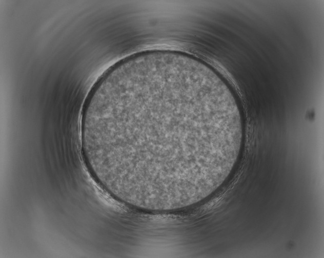 X0000114560988200911301244