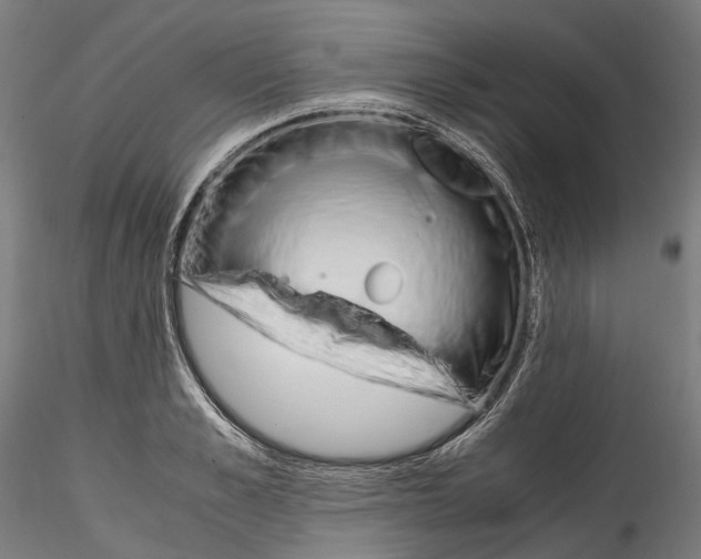 X0000114560989200911301244