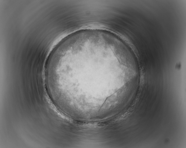 X0000114560990200911301244