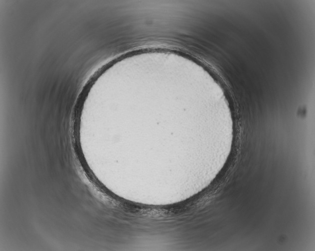 X0000114560991200911301244