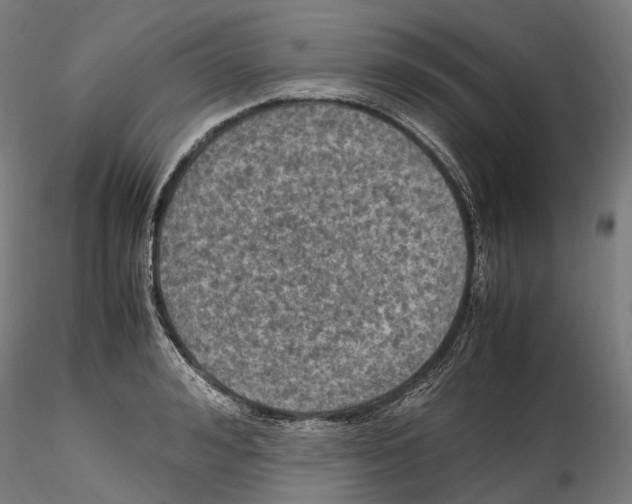 X0000114560992200911301244