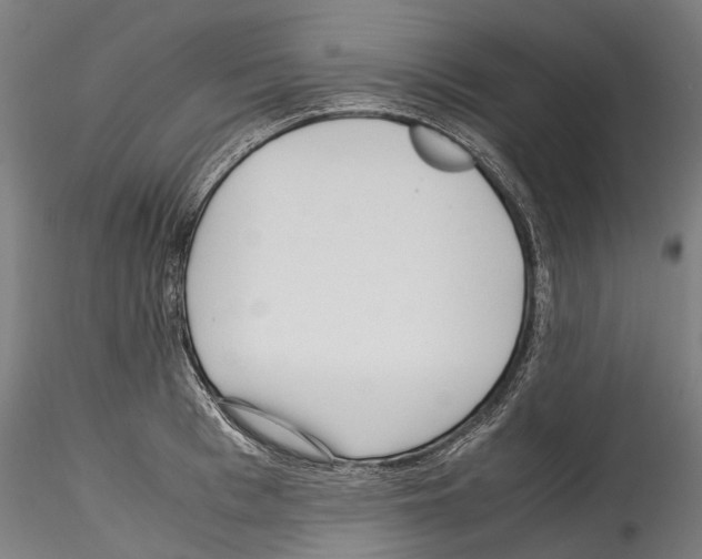 X0000114560993200911301244