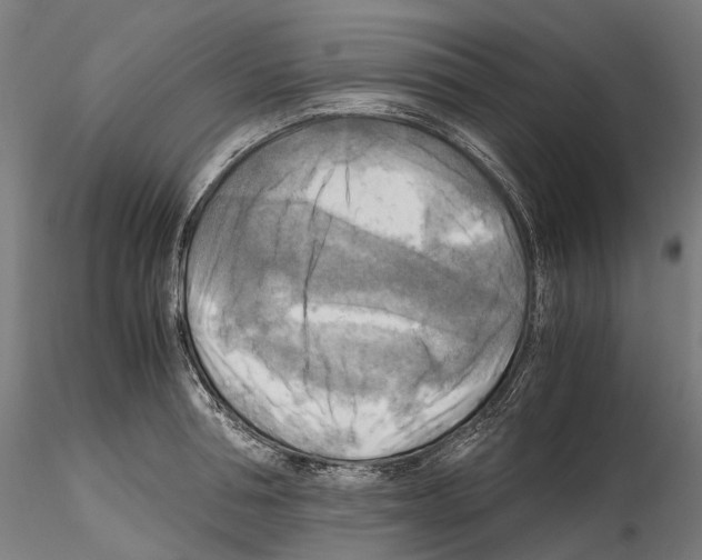 X0000114560994200911301244