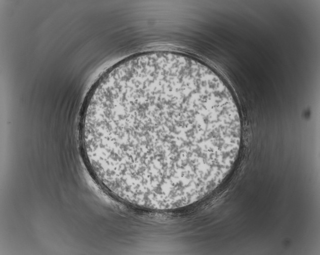 X0000114560995200911301244