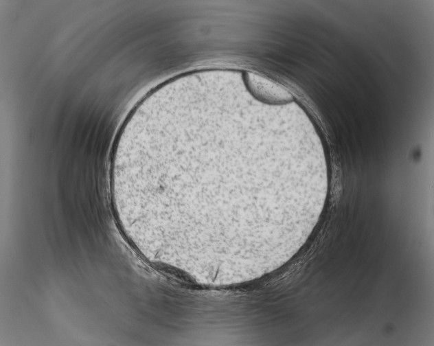 X0000114560996200911301244