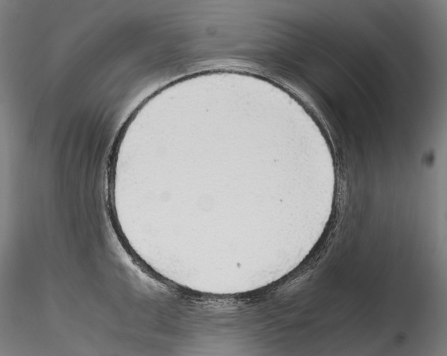 X0000114560999200911301244