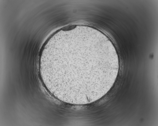 X0000114561000200911301244