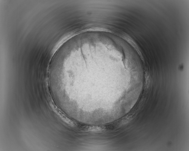 X0000114561002200911301244