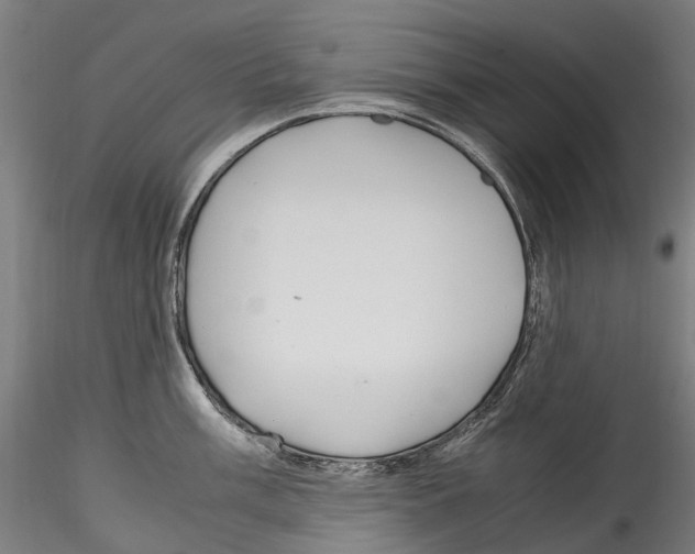 X0000114561003200911301244