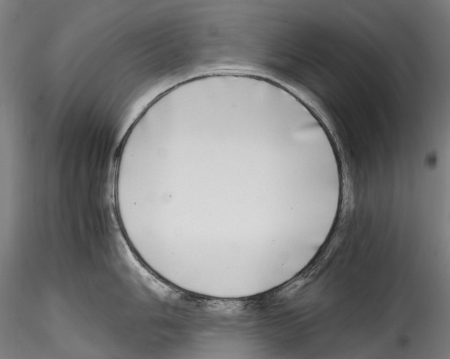X0000114561006200911301244