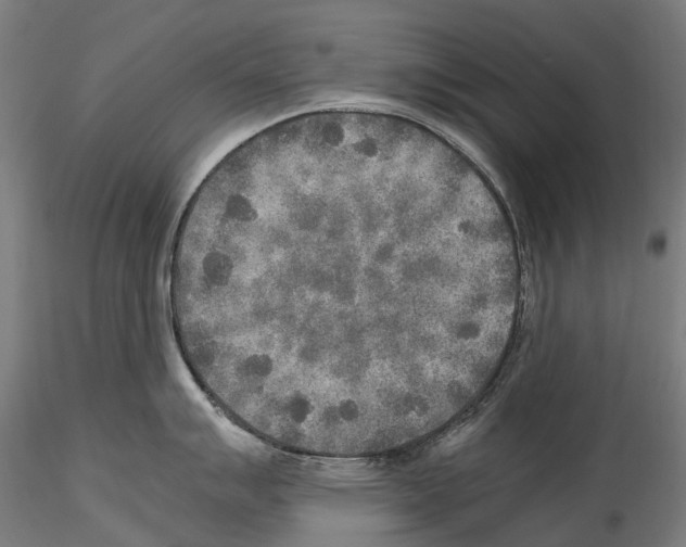 X0000114561007200911301244
