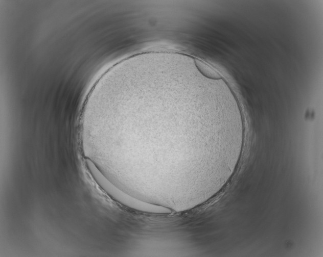 X0000114561008200911301244