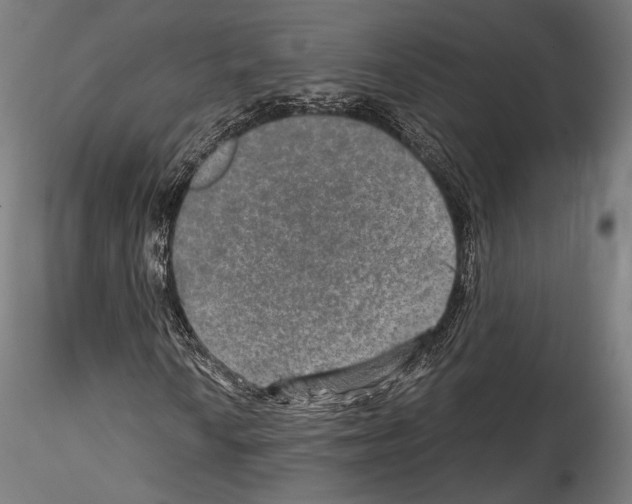 X0000114561010200911301243
