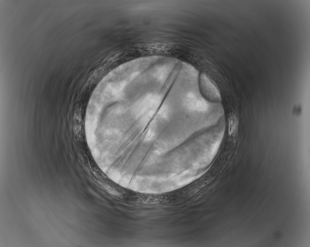 X0000114561011200911301243