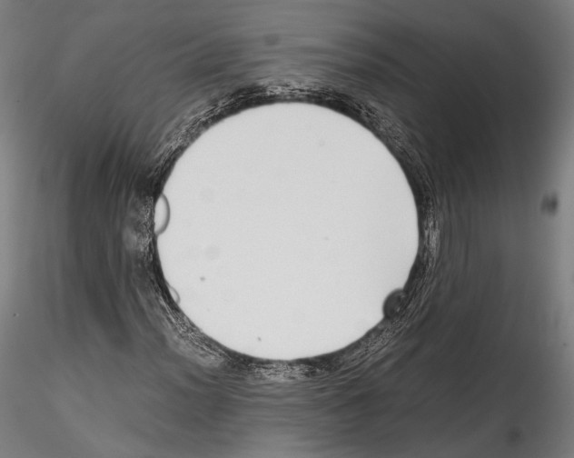 X0000114561012200911301243
