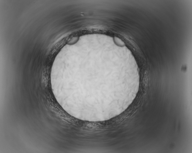 X0000114561015200911301243