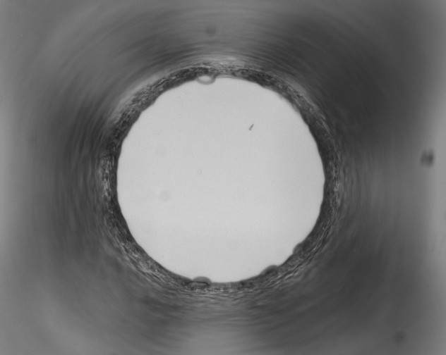 X0000114561016200911301243